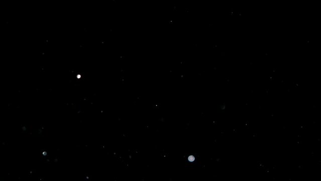 Shiny particles sparkling in the wind as an overlay for your footage