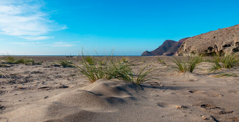 beach in Cabo de Gata- Andalusia in Spain