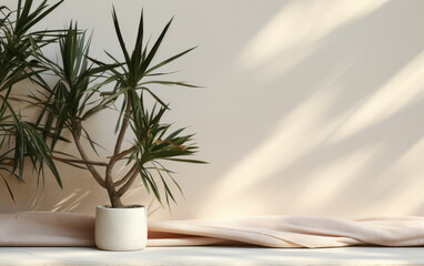 Luxury organic cosmetic display with soft beige cotton tablecloth, tropical plant, and sunlight.