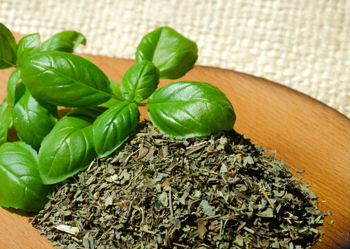 Dried basil and a sprig of green basil on a wooden board against a background of burlap.