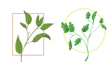 Tree branch illustration, oak leaves