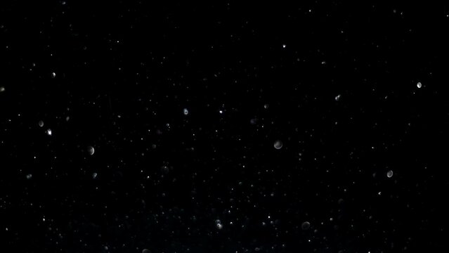 Great Particle sparkling on wind for overlay