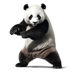 Foto op Plexiglas panda fighter, isolated on transparent background. Generative Ai © FP Creative Stock