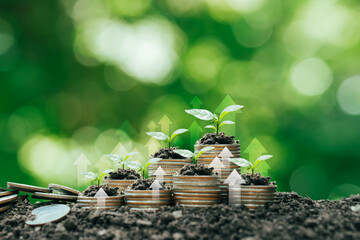 Coins stacked on the ground and seedlings grow in green business investment. Concepts of savings...