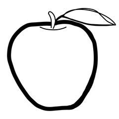 apple vector illustration
