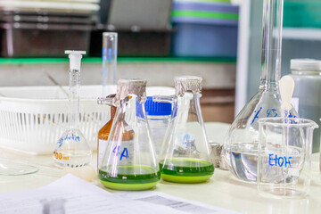 Laboratory glassware with green liquid in a science research laboratory.