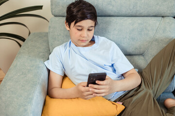Portrait of a teenage boy on the couch in his room with a phone in his hands, looking at a...
