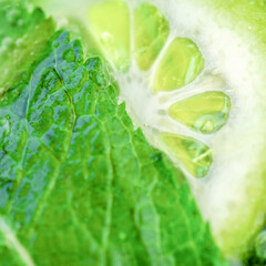 Lime and mint. Close-up of a fresh lime and mint leaves. Mojito cocktail.