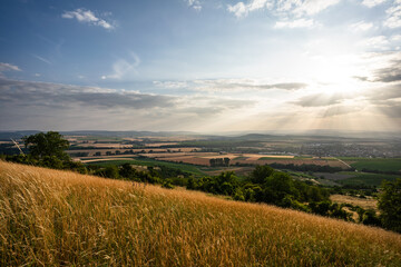 Wißberg in Rheinhessen (Juli 2023)