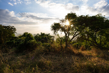 Obraz premium Wißberg in Rheinhessen (Juli 2023)