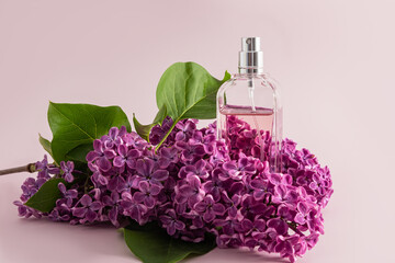 Obraz na płótnie Canvas A bottle of a cosmetic product or perfume stands among the flowers of a lilac branch on a pink background. The concept of perfumery and beauty.