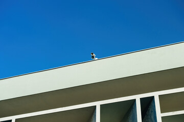 A conceptual roof with CCTV cameras overlooks architecture below, the blue sky adding to the feeling of constant surveillance.