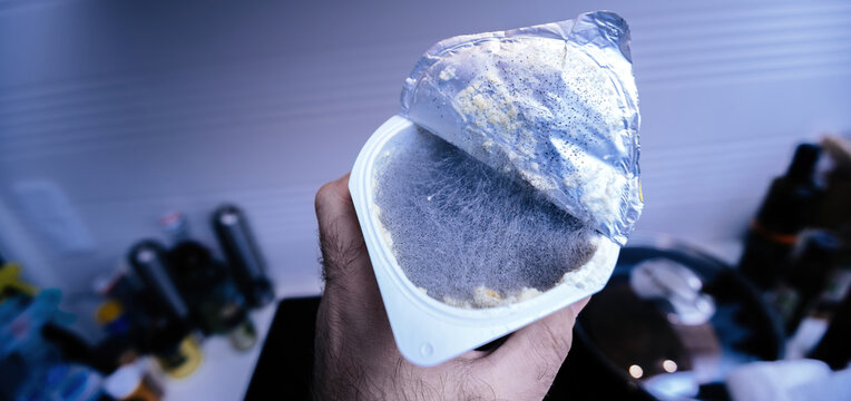 A Hand Is Grasping A Plastic Recipient Holding Moldy Yogurt. The Kitchen Background Shows A Container Of Mycelium Growth And Fungal Decay. A Vessel Holder Is Forming.