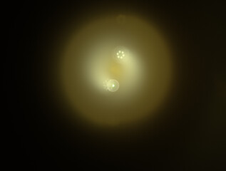 Imaginatory fractal abstract background Image