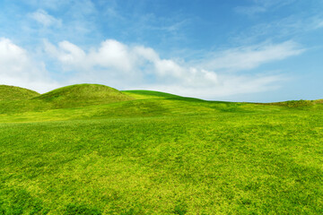 Obraz na płótnie Canvas Landscape with green grass field under a blue sky