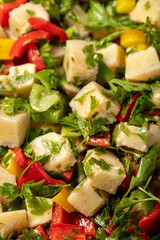 Artichoke Salad with Olive Oil. Healthy appetizers. Food background. Close up