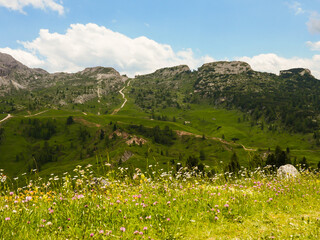 Fototapeta na wymiar Italian dolomites view with trails for hiking and trekking. Green and flowers, no people