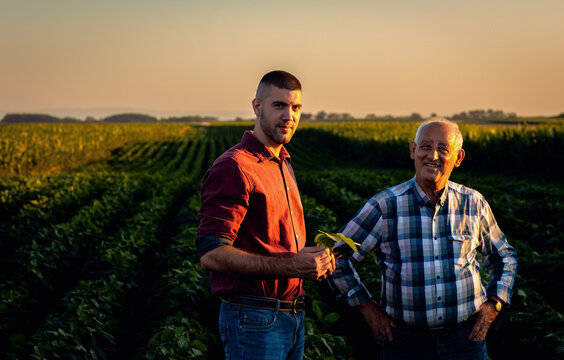 Portrait of two farmers standing in soy field at sunset.