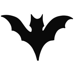 Fototapeta premium bat