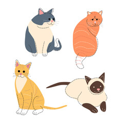 Cat breeds Set 2 . Flat shape and pencil line drawing design . Vector .