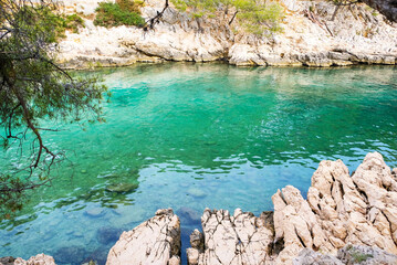 Beautiful wild beach with turquoise water, sea pines and rocky cliffs in Calanques National Park, Cassis. Popular nature attraction in Southern France.