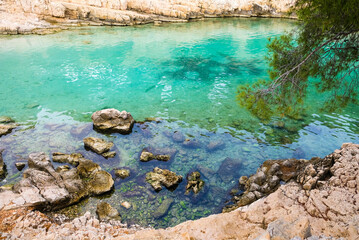 Beautiful wild beach with turquoise water, sea pines and rocky cliffs in Calanques National Park, Cassis. Popular nature attraction in Southern France.