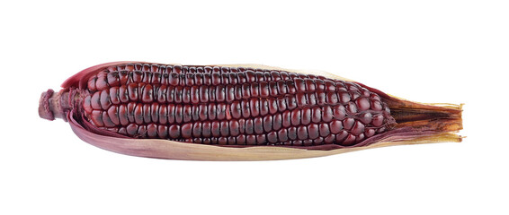 purple corn on transparent png