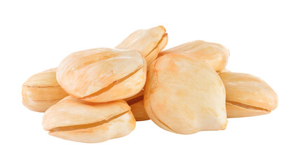 Asian Palmyra palm, Toddy palm, Sugar palm on transparent png