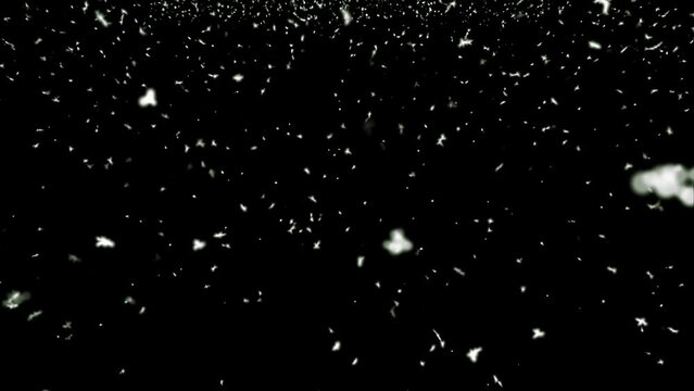 Falling white fluff on a black background