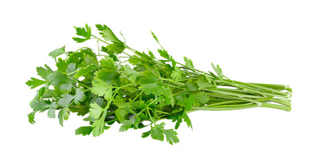 Parsley isolated on transparent png