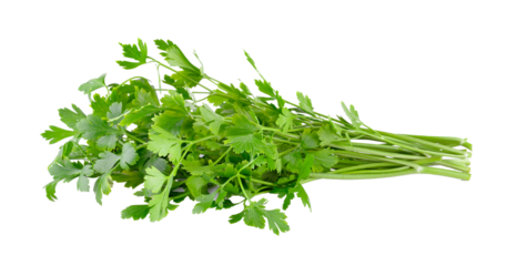 Parsley isolated on transparent png