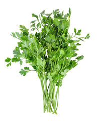Parsley isolated on transparent png