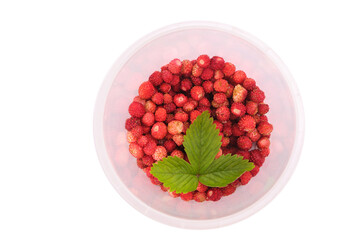 Fragaria berries, wild strawberry in a plastic jar isolated on white top view, wild strawberry leaf