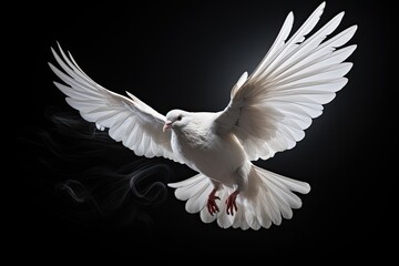Naklejka na ściany i meble White dove swooping down, photo realistic, black background