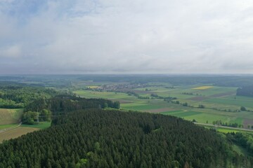 Fototapeta premium Greenery field surrounded by trees