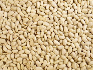 White Beans Background