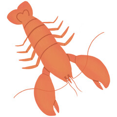 orange lobster isolated on white background