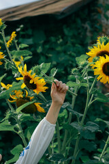 The girl reflects the emotions of Ukraine