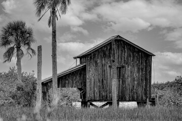 Grayscale shot of an old barn surrounded by trees
