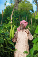 Indian farming, farmer holding bottle gourd, vegetable fresh , happy farmer