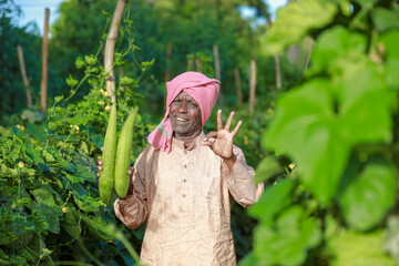 Indian farming, farmer holding bottle gourd, vegetable fresh , happy farmer - obrazy, fototapety, plakaty