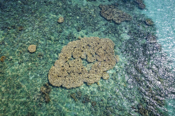 Aerial view of Sairee Beach or Sai Ri Beach in koh Tao, Thailand