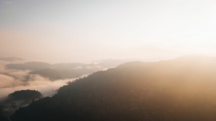 Mountainous terrain featuring lush green trees, rolling hills, and a fog-filled valley below.