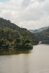 Fototapeta premium a large body of water with trees around it in the middle
