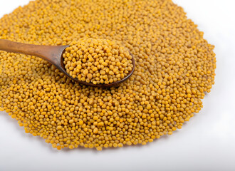 Senfk&ouml;rner: Eine Prise W&auml;rme