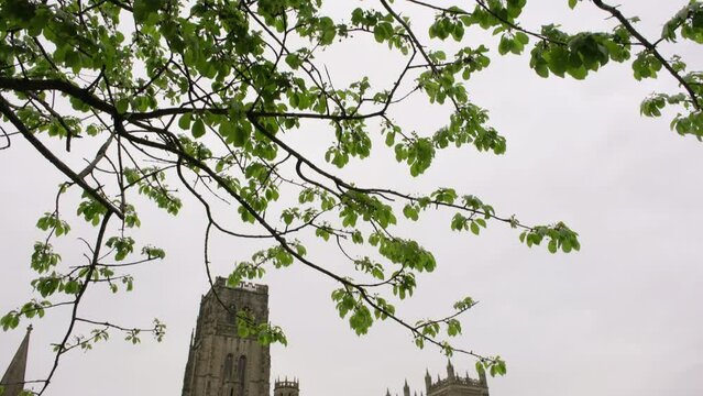 Tilt down from trees to reveal Durham Cathedral on an overcast spring day