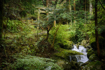 兵庫県・福崎町の雨上がりに滝と堰堤の増水