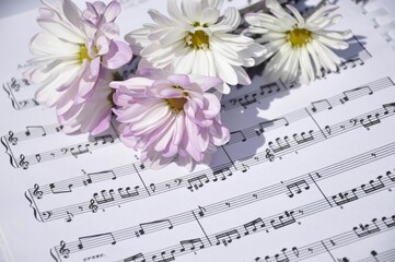 Vibrant arrangement of pink flowers set atop a vivid backdrop of musical notes and sheet music