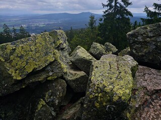 Tranquil and scenic landscape featuring a pile of moss-covered rocks and a forest in the background