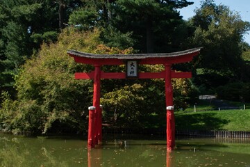 Scenic shot of a bright red torii in a lake with lush green trees in the background